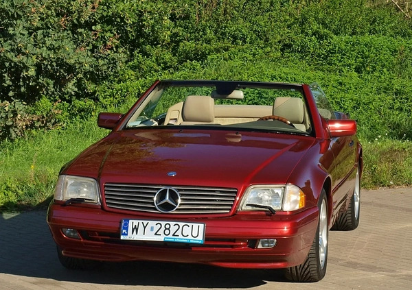 Mercedes-Benz SL cena 80000 przebieg: 115000, rok produkcji 1997 z Warszawa małe 781